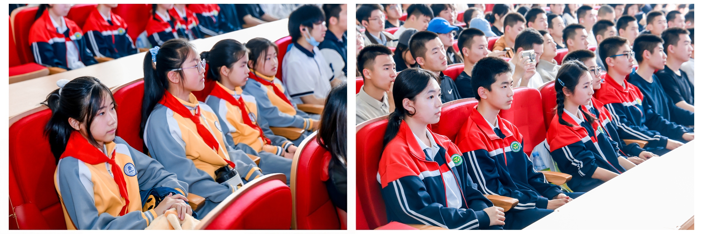 观众2.jpg