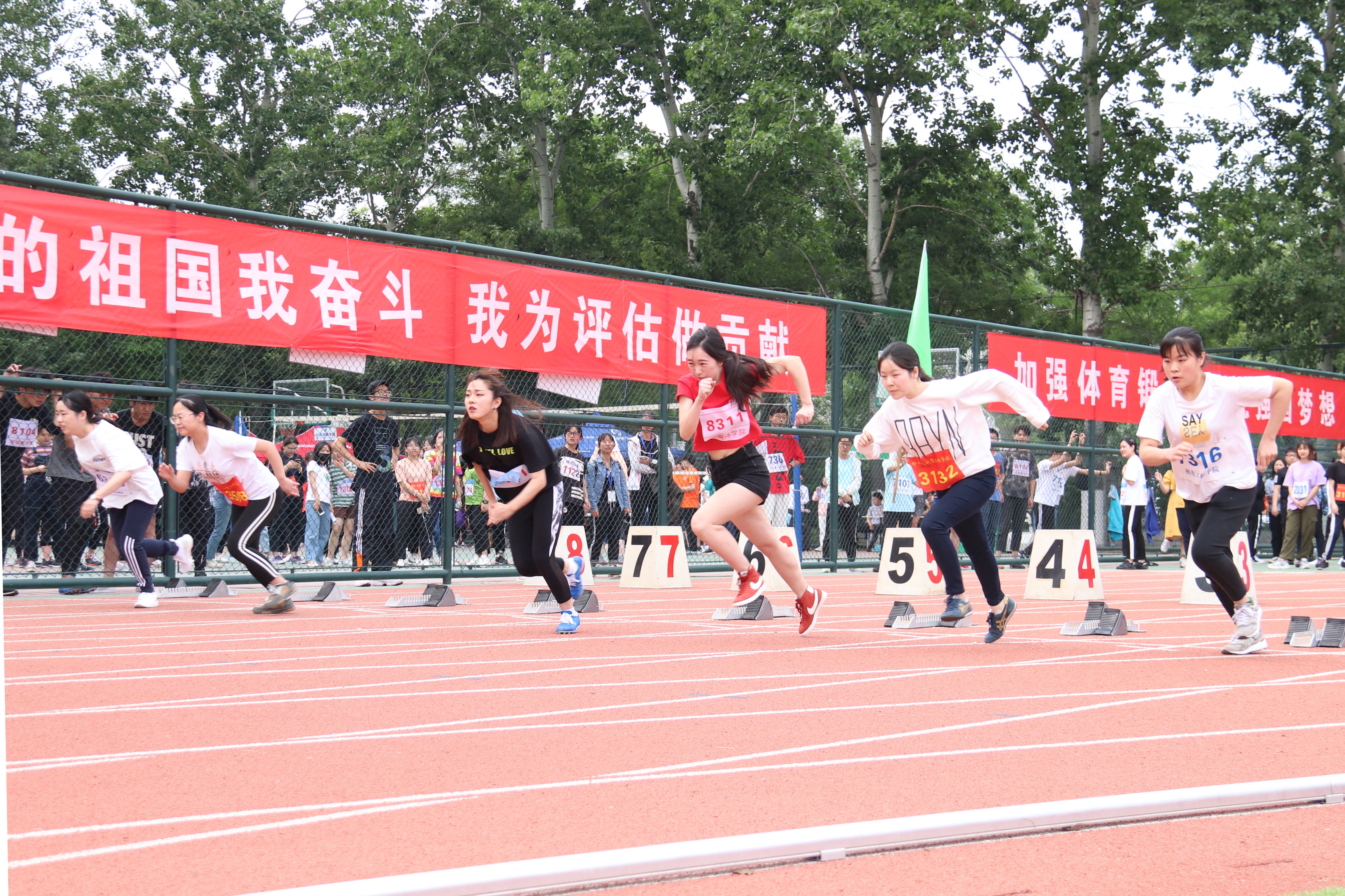 2fd9e9afa9134b90b9879b485f157136.jpg